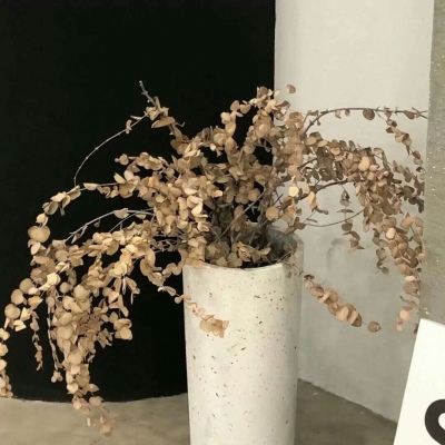 Furry插画风格解析兽圈社群